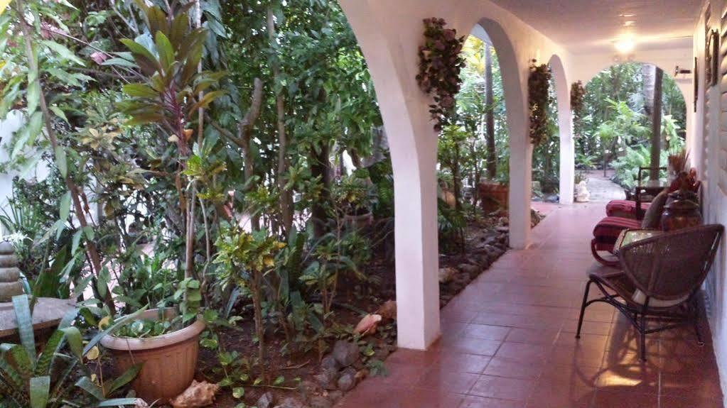 Coconut Palms Inn Rincón Exteriér fotografie
